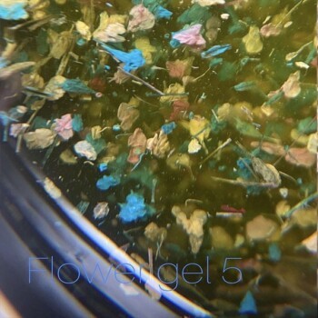 Żel z suszonymi kwiatami SAGA Flower gel 05, 5 ml