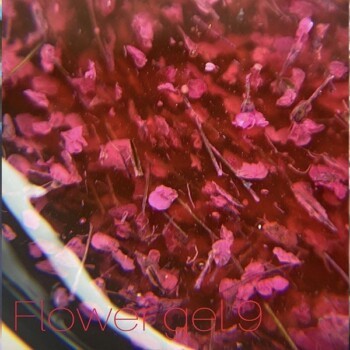 Żel z suszonymi kwiatami SAGA Flower gel 09, 5 ml