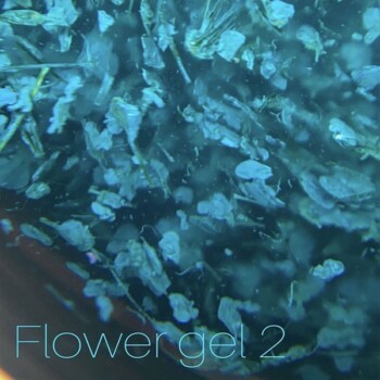 Żel z suszonymi kwiatami SAGA Flower gel 01, 5 ml